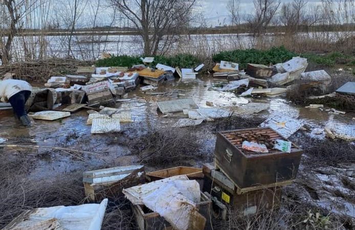 Salihli’de 103 kovan arı sele kapıldı: Binlerce arı telef oldu