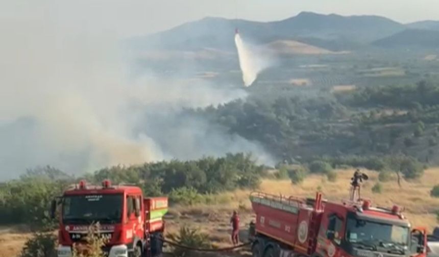 Kırkağaç'taki orman yangını dün akşam saatlerinde kontrol altına alındı