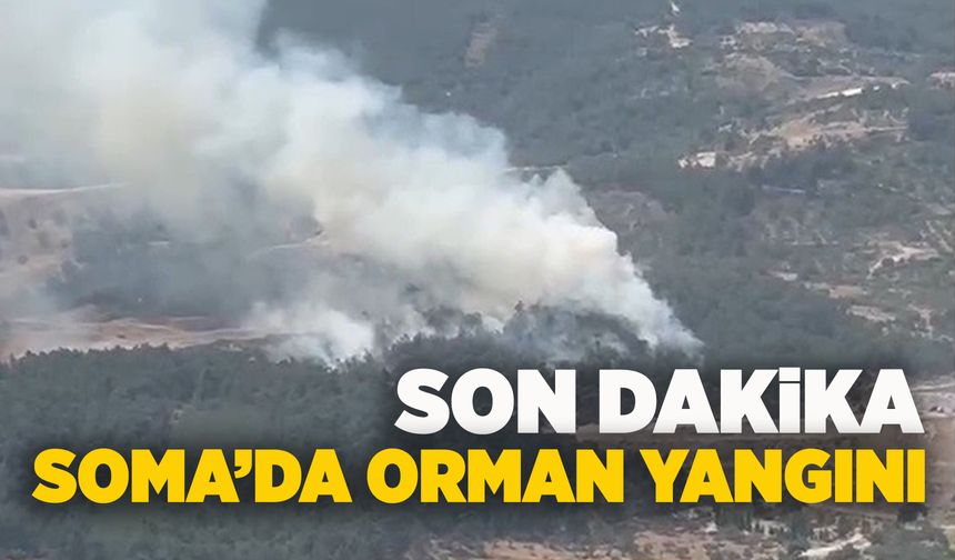 Son Dakika: Soma'da orman yangını çıktı