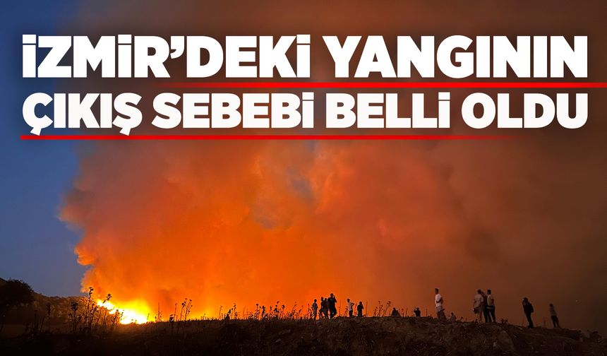 İzmir’deki yangının sebebi 'piknik ateşi' çıktı