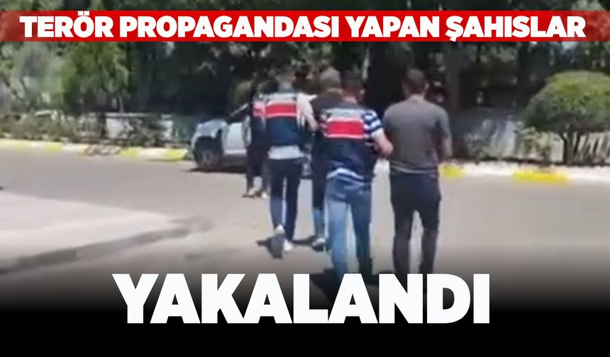 Manisa'da terör propagandası yapan şahıslar yakalandı