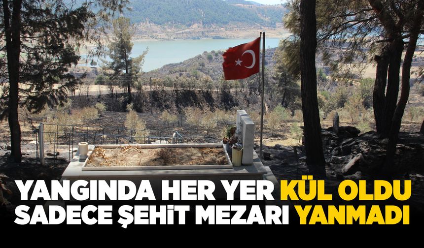 Gördes'teki yangında sadece şehit mezarı yanmadı