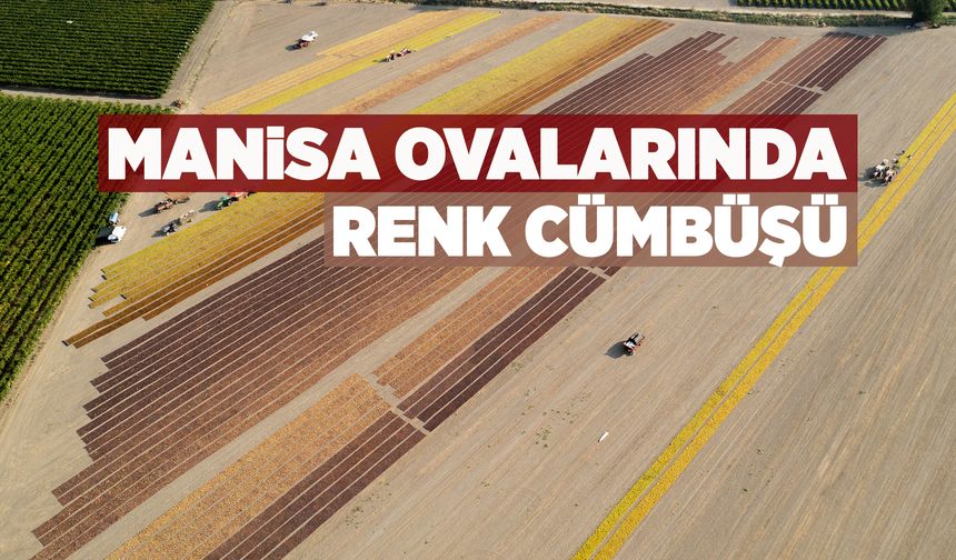 Manisa ovalarında kartpostallık görüntüler