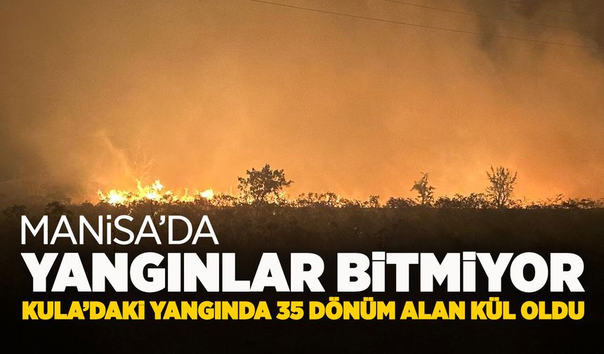 Manisa'da gece saatlerinde korkutan yangın