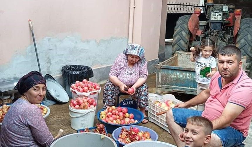 Manisa'da nar ekşisi yapımına başlandı