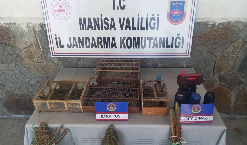 Manisa'da saka kuşu avlayan şahıslara suçüstü