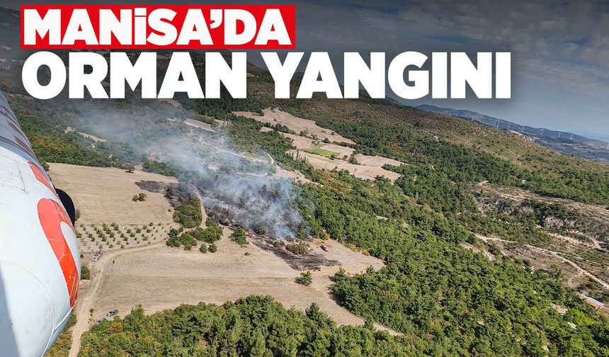 Manisa'da tarım arazisinde çıkan yangın ormanlık alana sıçradı