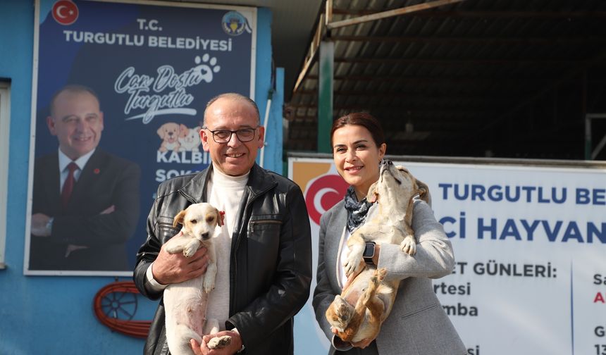 Turgutlu'da online hayvan sahiplendirme sistemi başladı