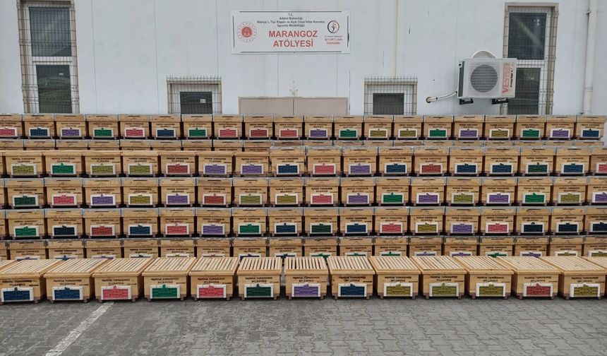 Yunusemre'de hükümlülerin ürettiği kovanlar üreticiye dağıtılacak