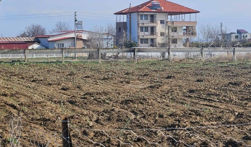 Sarıgöllü öğrenciler 200 fidan dikti