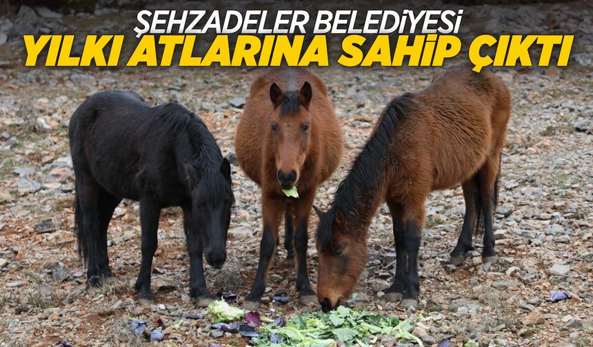 Şehzadeler Belediyesi yaban hayatını unutmadı