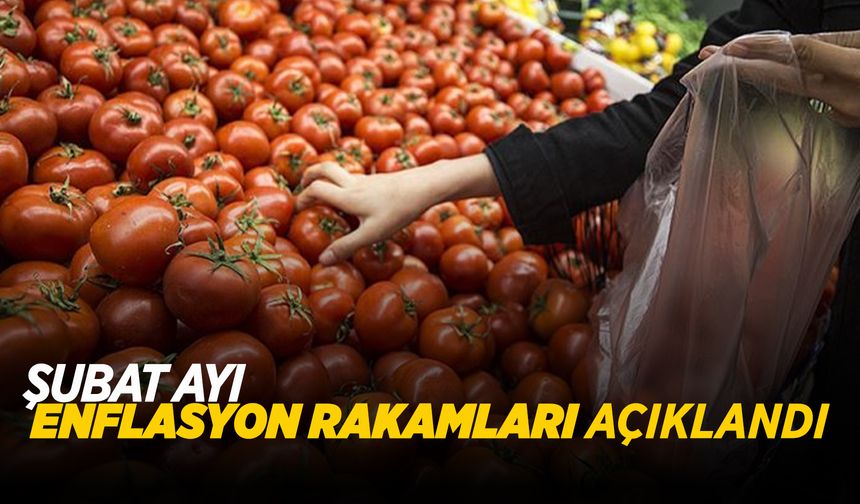 Yıllık enflasyon yüzde 39,05 oldu