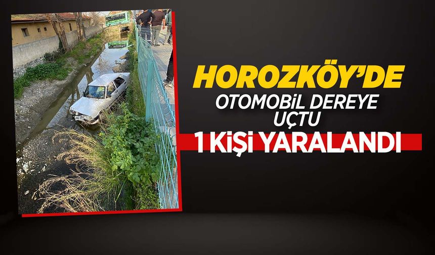 Manisa'da kontrolden çıkan otomobil dereye düştü
