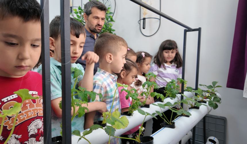 Manisalı minikler topraksız tarımla üretim yapıyor