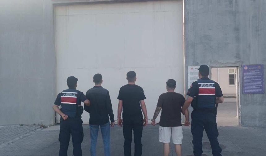 Manisa'daki ormanlık alanda saklanan uyuşturucuları jandarma buldu