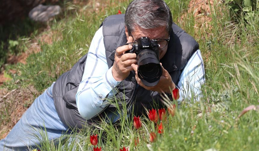 Fotoğraf tutkunları Spil'e akın etti