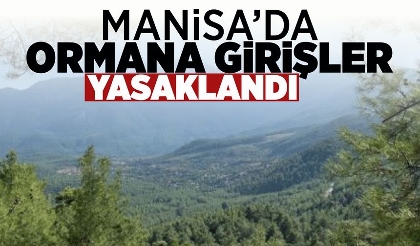 Manisa'da ormana giriş yasağı başladı