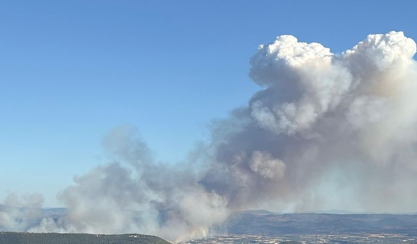 Manisa Yunusemre'de korkutan orman yangını!