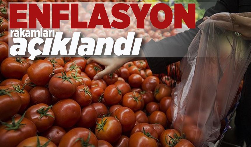 Mayıs ayı enflasyon rakamları açıklandı