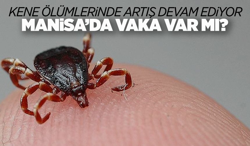 Manisa'da kene vakası var mı?