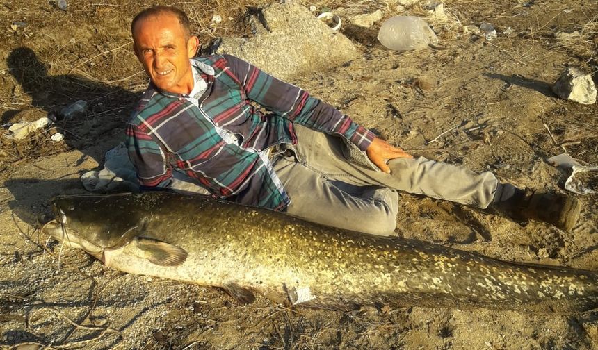 Manisa'da bir avcı boyu kadar balık yakaladı