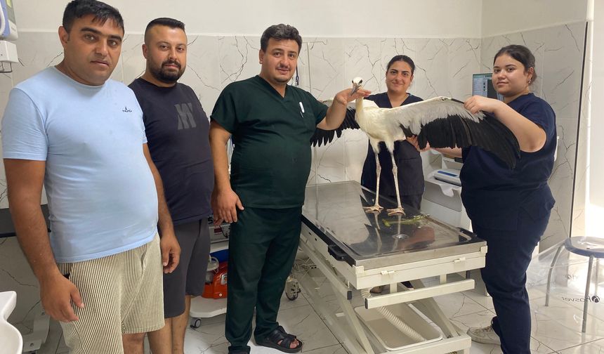 Manisa'da yorgun düşen leyleği esnaf kurtardı
