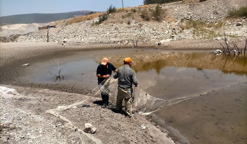 Manisa'daki kuruyan göletteki balıklar böyle kurtarıldı