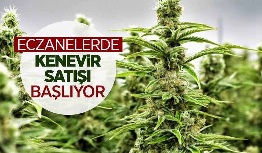 Artık tıbbi kenevir eczanelerde satılabilecek