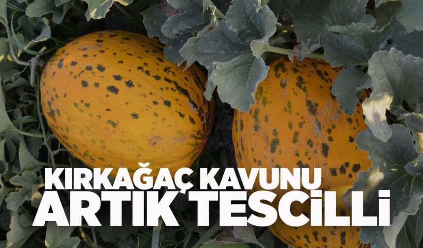 Kırkağaç Kavunu AB’den tescil aldı