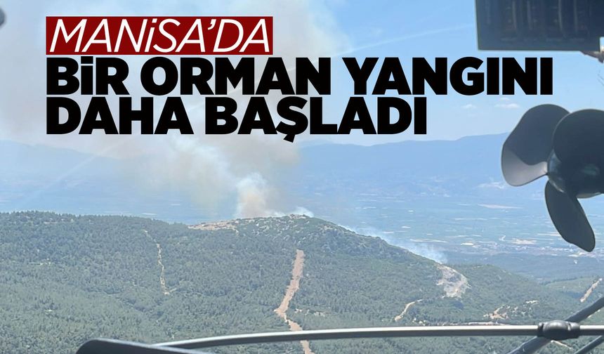 Manisa'nın 5 ilçesi alevlere teslim oldu