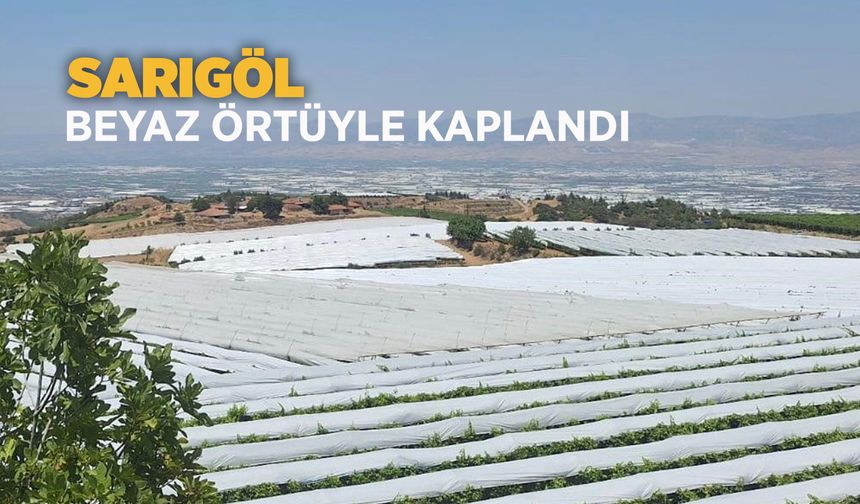 Sarıgöl Ovası beyaza büründü