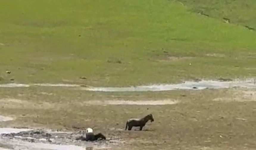 Katırlarını kurtarmak isterken kendisi de battı