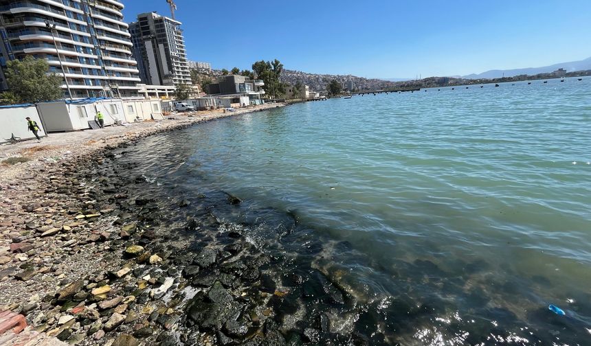 İzmir Körfezi'nin kokusu yurttaşı bezdirdi