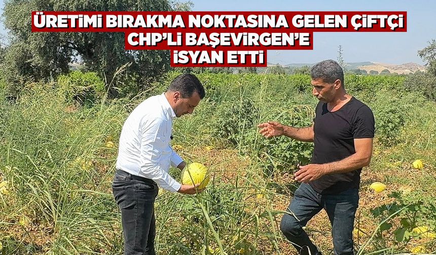 Manisalı çiftçinin mahsulü tarlada kaldı