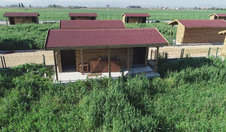 Hobi bahçelerine başvurular başladı
