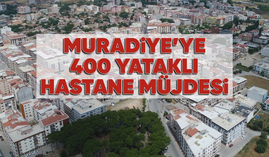 Muradiye'ye devlet hastanesi yapılacak