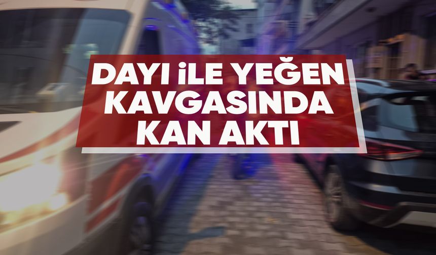 Manisa'da dayı-yeğen kavgası kanlı bitti
