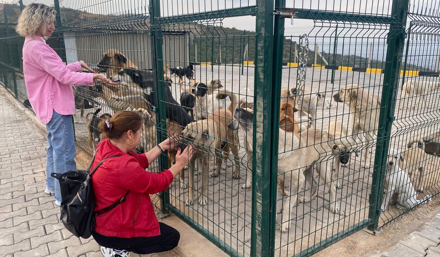 Manisa'ya yeni bir doğal yaşam merkezi açıldı