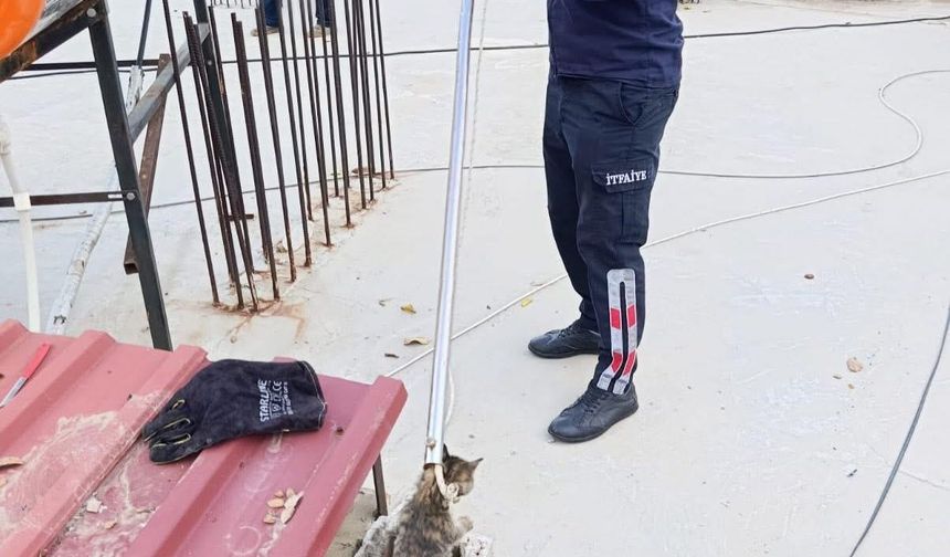Manisa'da bacaya sıkışan kedi kurtarıldı