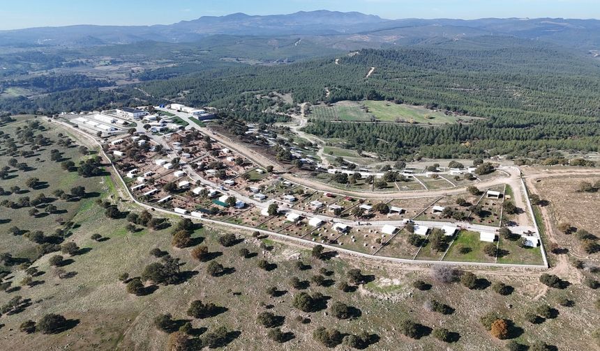 Yunusemre’de hayvanlar için yeni padoklar yolda