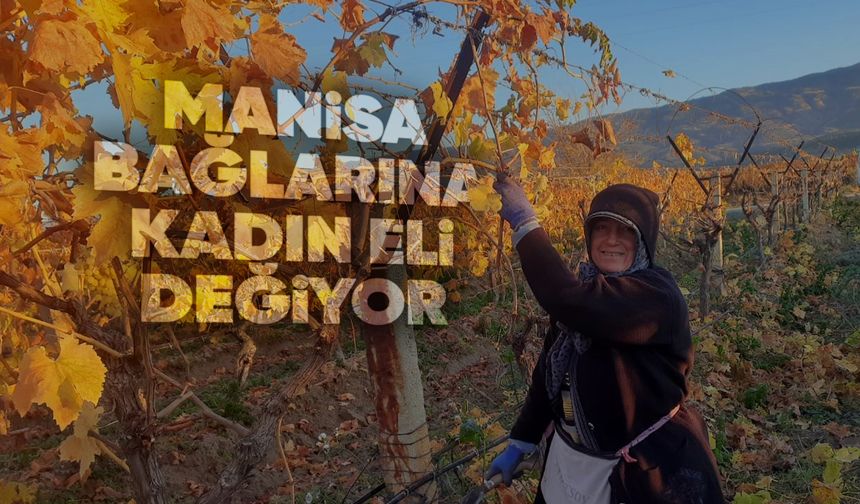 Manisa bağlarında kadın emeği