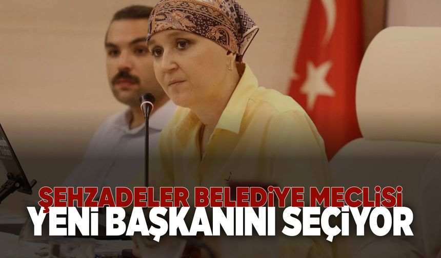 Şehzadeler’in yeni başkanı Cuma günü belli oluyor