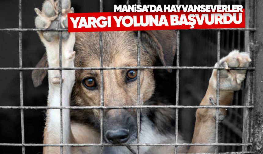 Manisa’da hayvanseverler yargı yoluna başvurdu