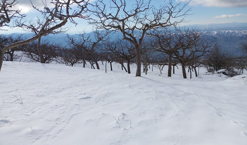 Alaşehirli çocuklar karla buluşacak