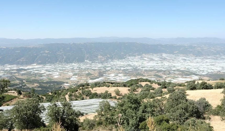 Sarıgöl Ovası beyaz gelinliğini çıkardı