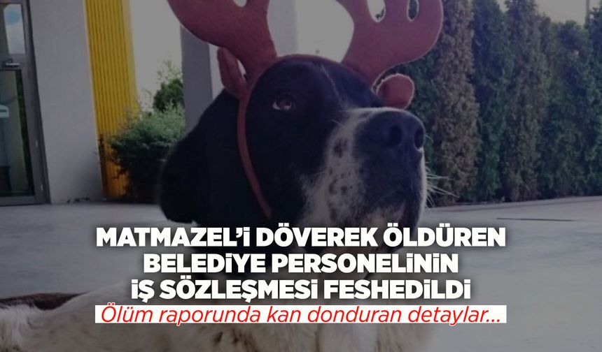 ‘Matmazel'i döven personelin iş sözleşmesi feshedildi!