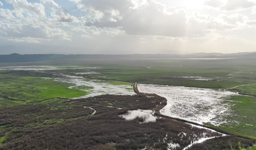 Manisa'daki Marmara Gölü yeniden canlanıyor
