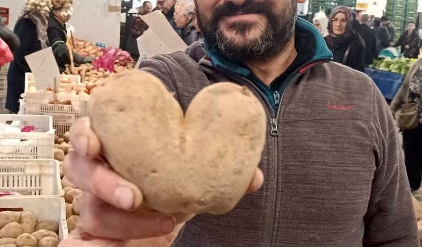 Manisa'da kalp şeklindeki patates görenleri şaşırttı