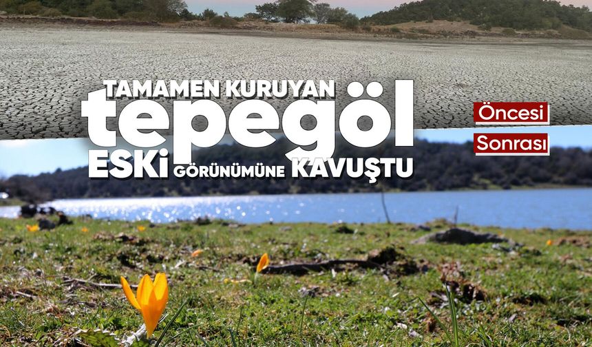 Manisa'da kuruyan bir göl daha yeniden canlandı