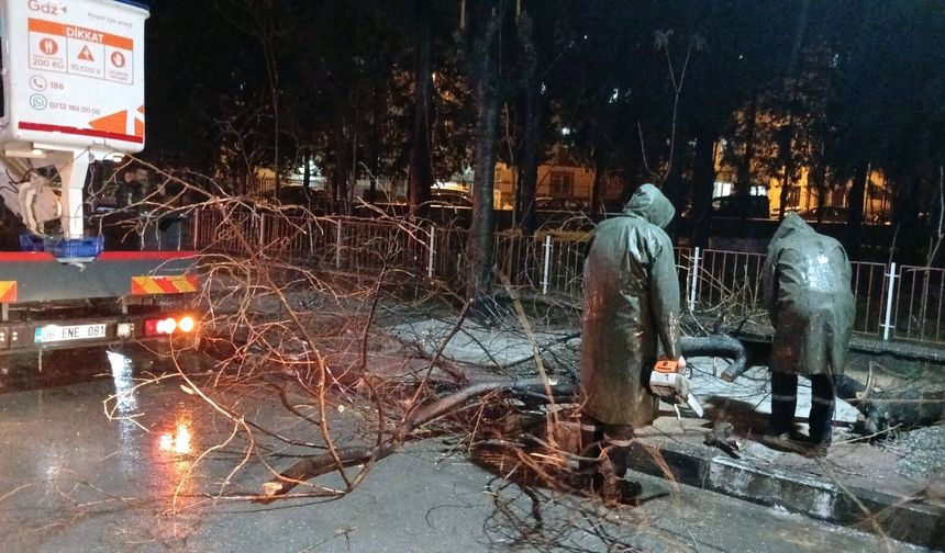 Şehzadeler'de ekipler gece boyu sahadaydı